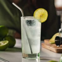 Gin Rickey Recipe Enjoy This Easy Highball Cocktail,Pictures Of Ducks Landing On Water